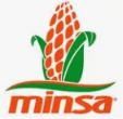 Logotipo de Minsa